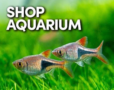 Aquarium