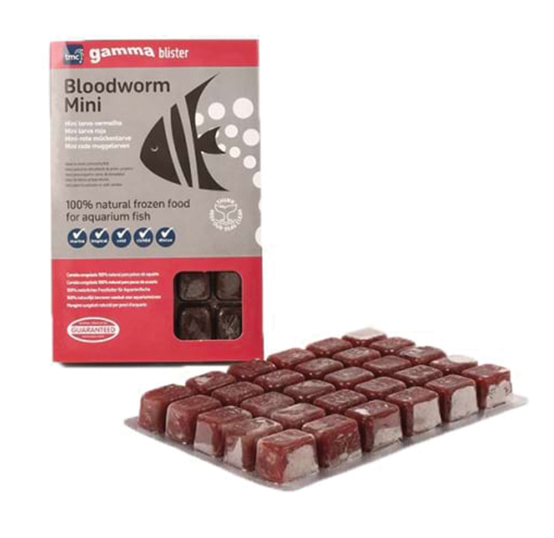 Buy frozen bloodworms online sale