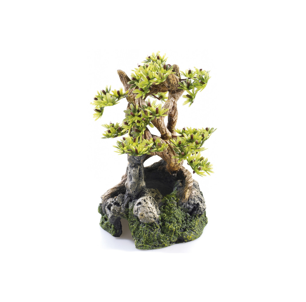 Classic Ornament - Bonsai on Rocks