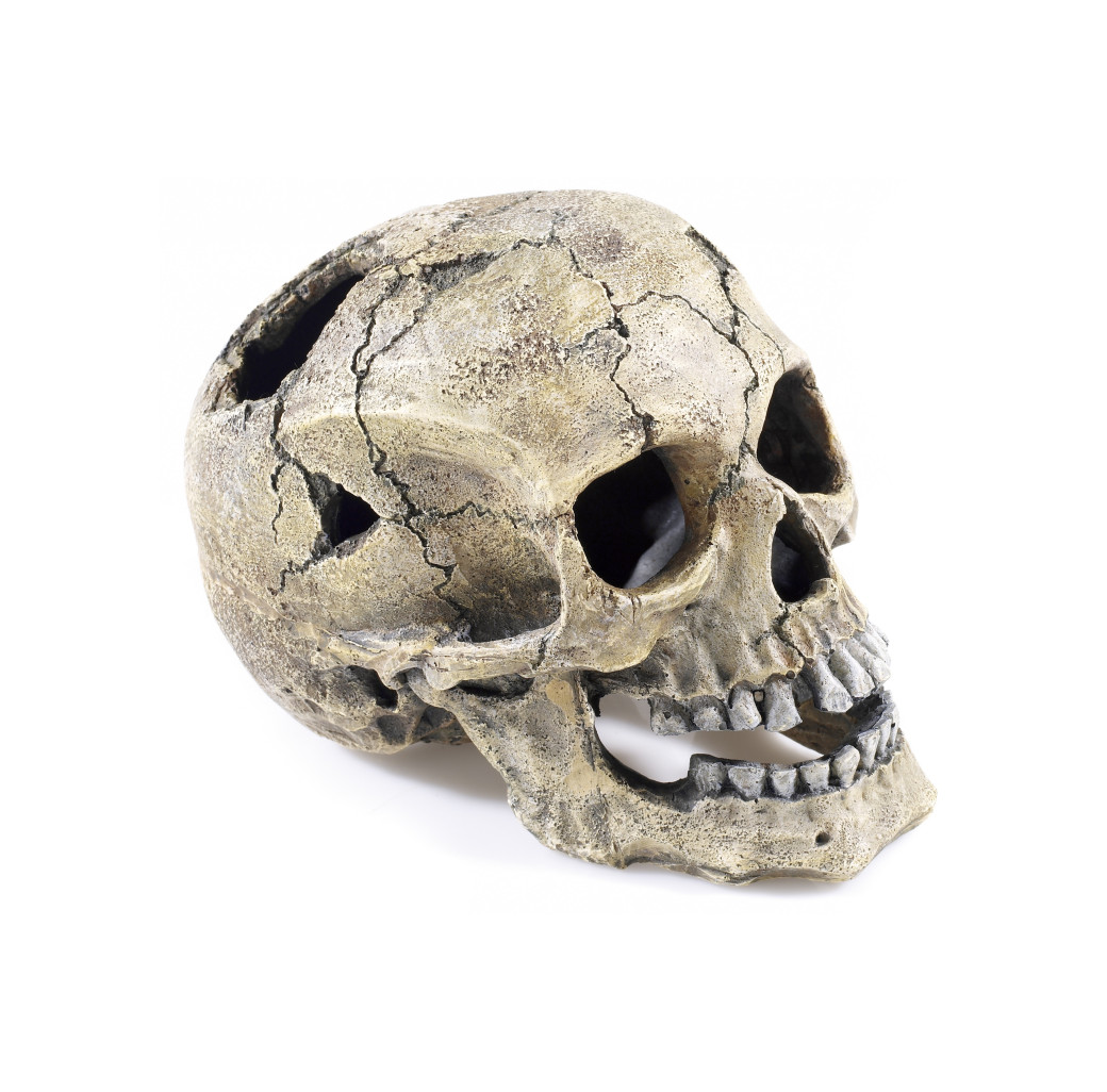 Classic Ornament - Cracked Skull 