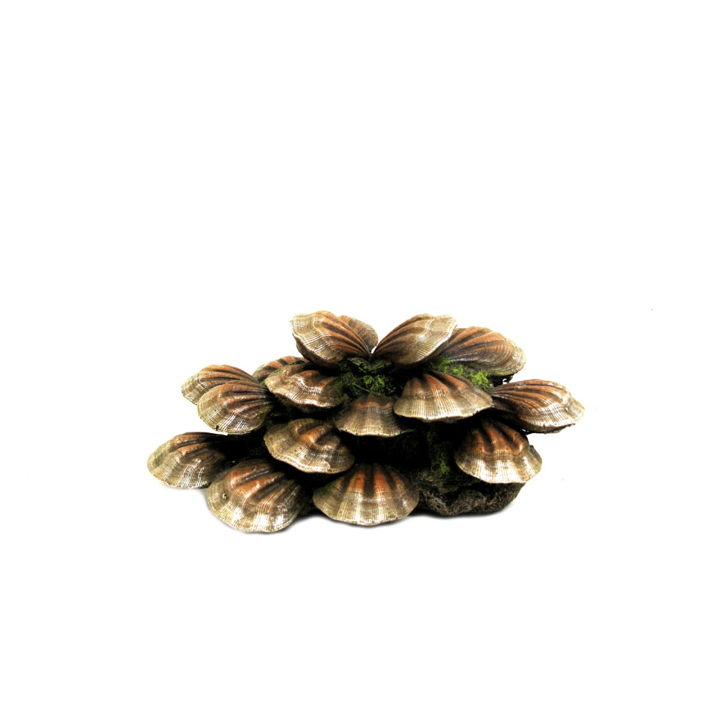 Classic Ornament - Sea Clam (Medium)