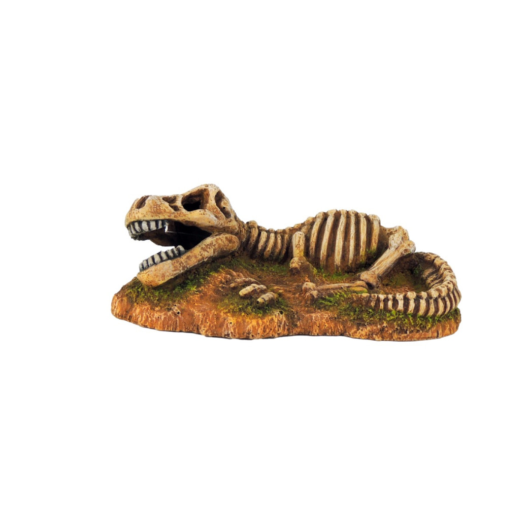 Classic Ornament - Dinosaur Fossil Skeleton