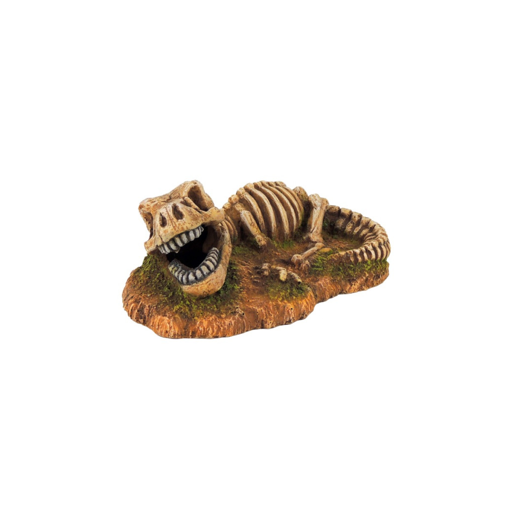 Classic Ornament - Dinosaur Fossil Skeleton