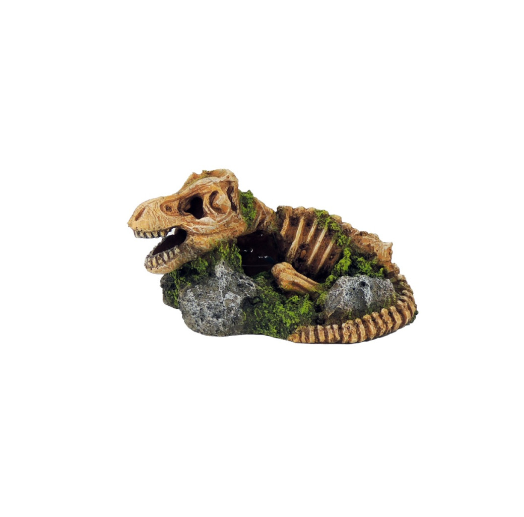 Classic Ornament - Dinosaur Fossil Skeleton On Rock