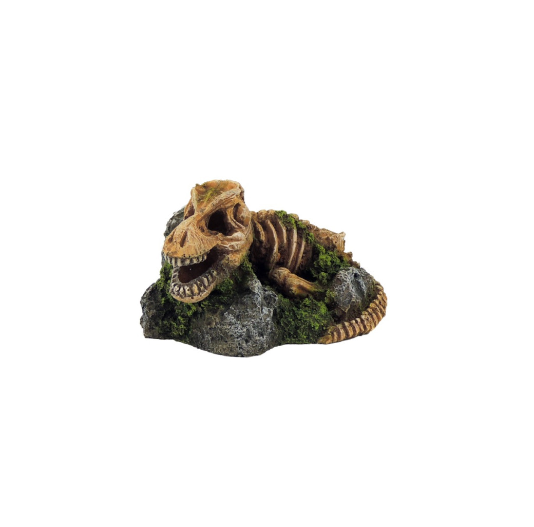 Classic Ornament - Dinosaur Fossil Skeleton On Rock