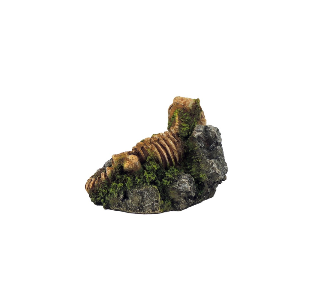 Classic Ornament - Dinosaur Fossil Skeleton On Rock