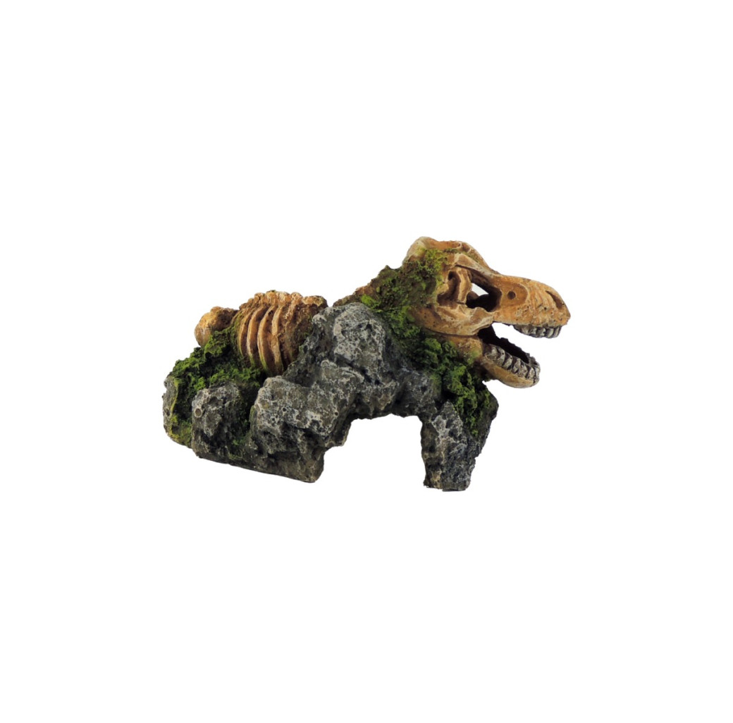 Classic Ornament - Dinosaur Fossil Skeleton On Rock