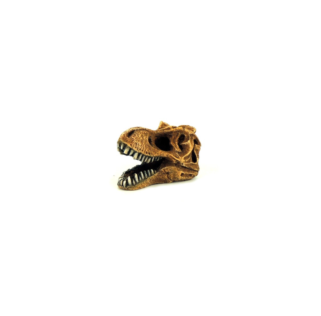 Classic Ornament - T-Rex Dinosaur Skull Small