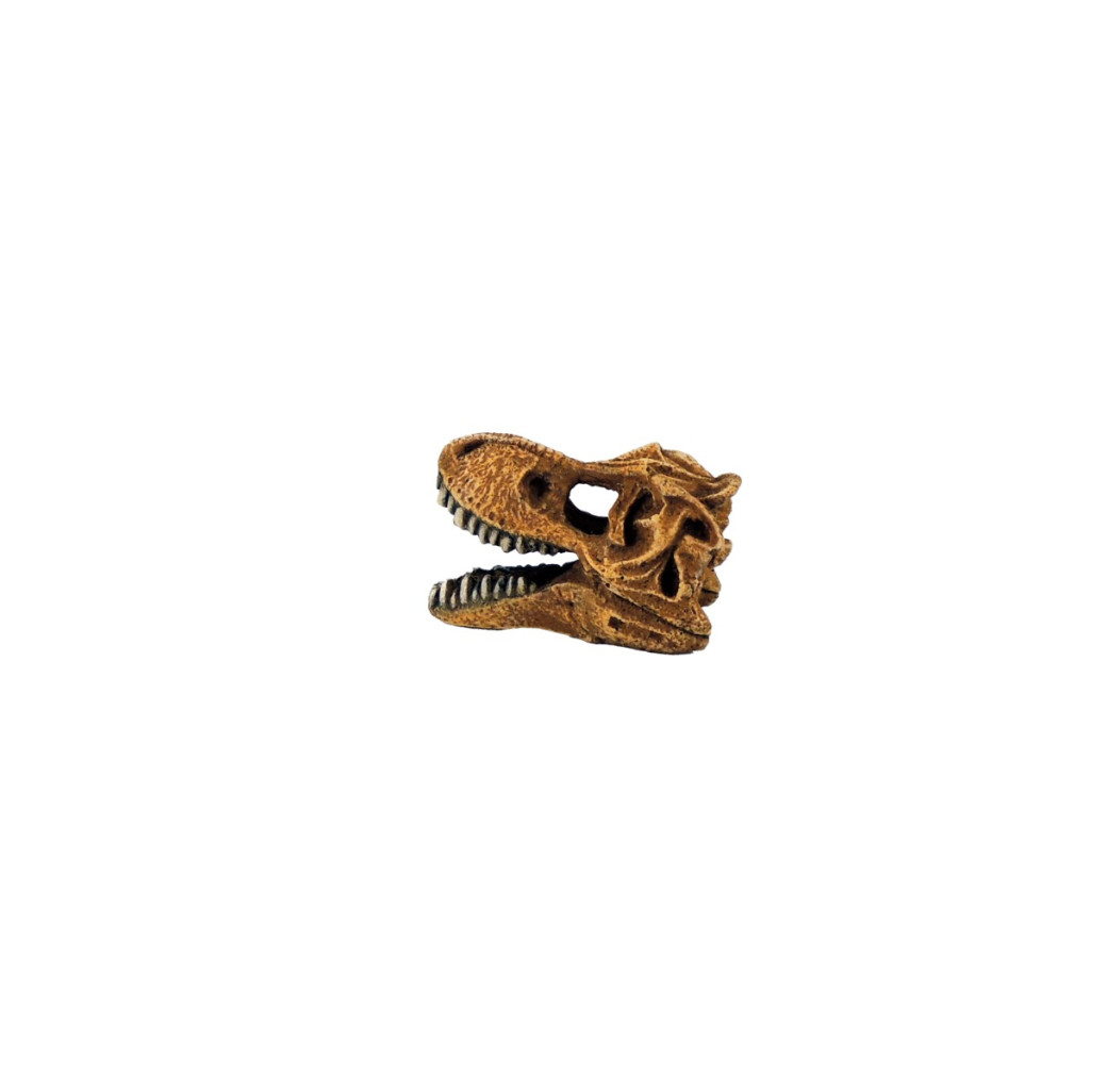 Classic Ornament - T-Rex Dinosaur Skull Small