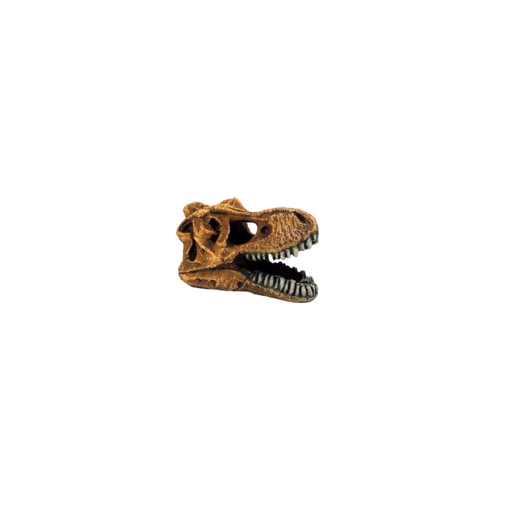 Classic Ornament - T-Rex Dinosaur Skull Small