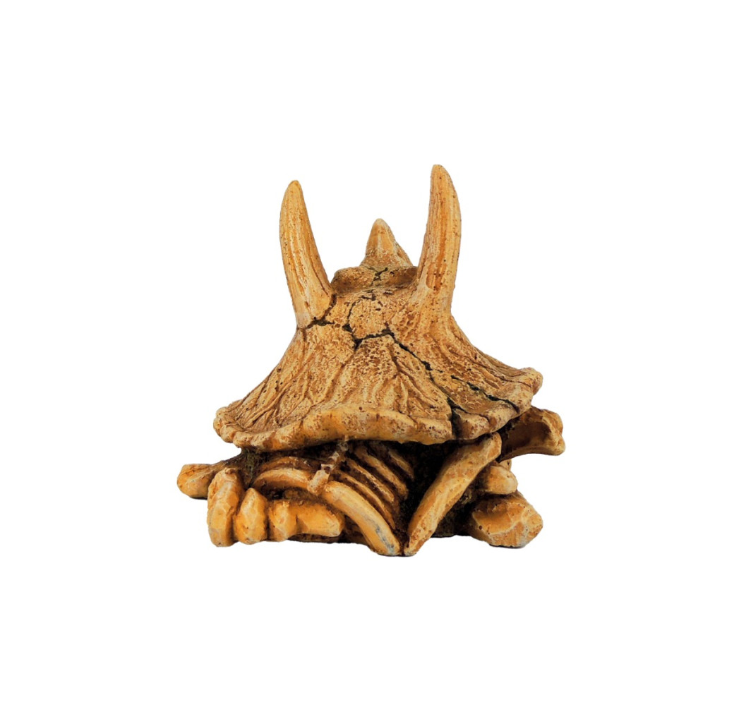 Classic Ornament - Triceratops Dinosaur Skull