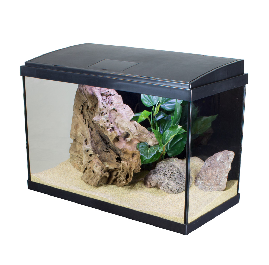 Fish tanks maidenhead aquatics best sale