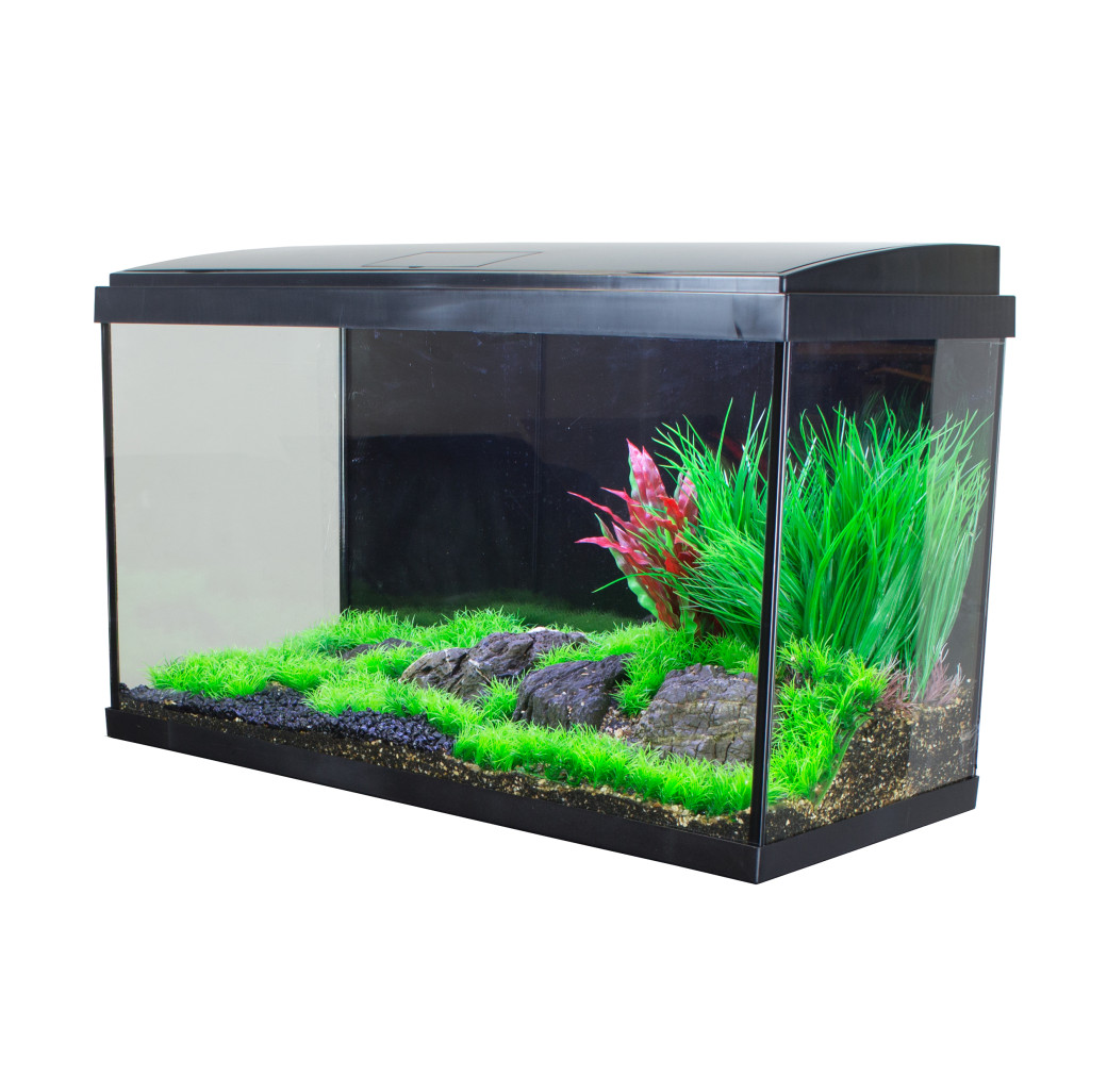 AquaTropic LED 110 Aquarium