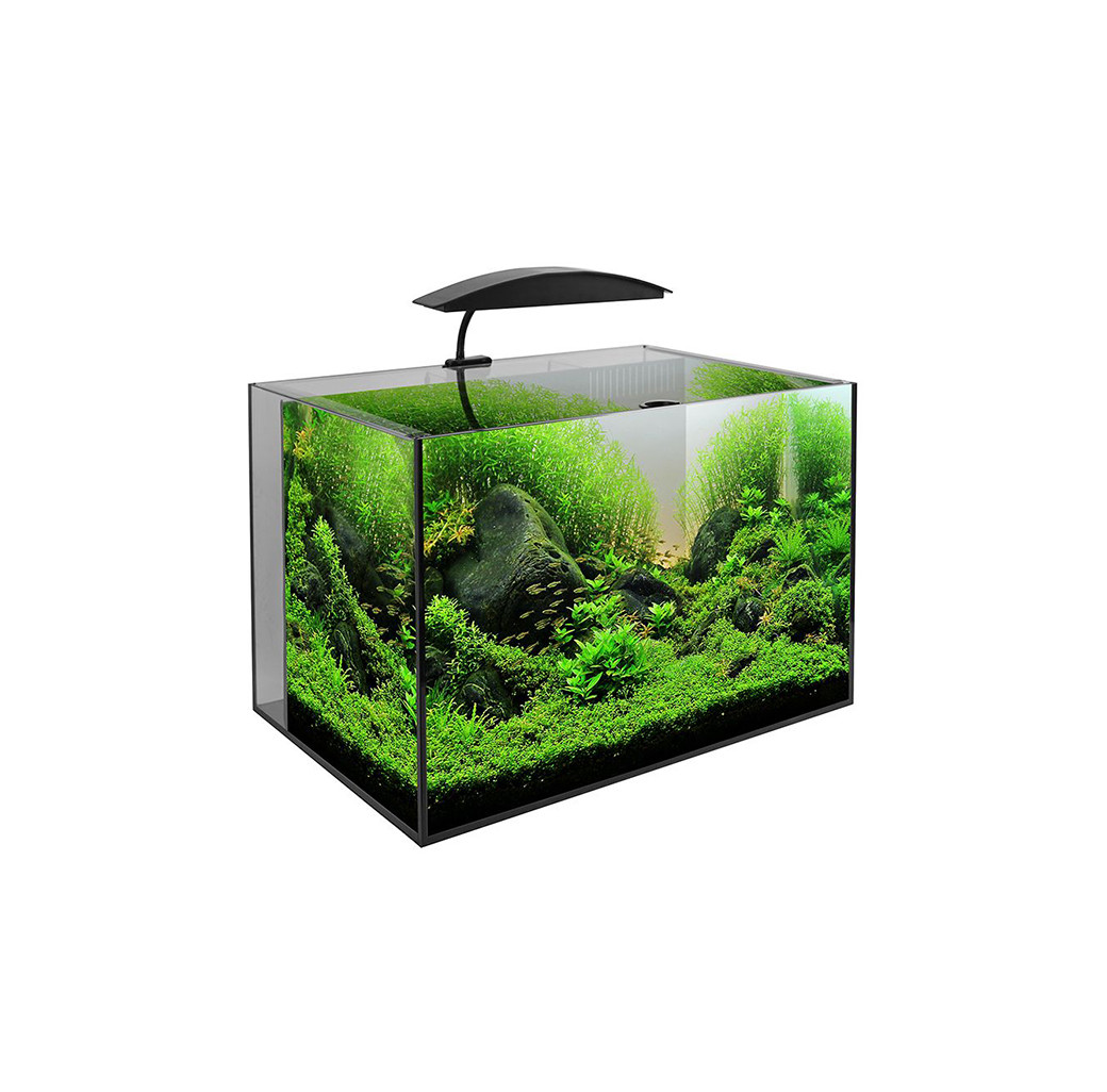 AquaManta Nano 60 LED Aquarium