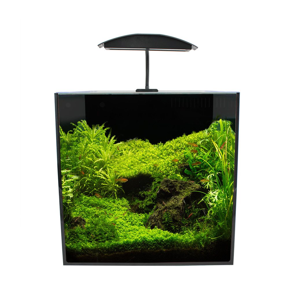 AquaManta Nano 35 LED Aquarium