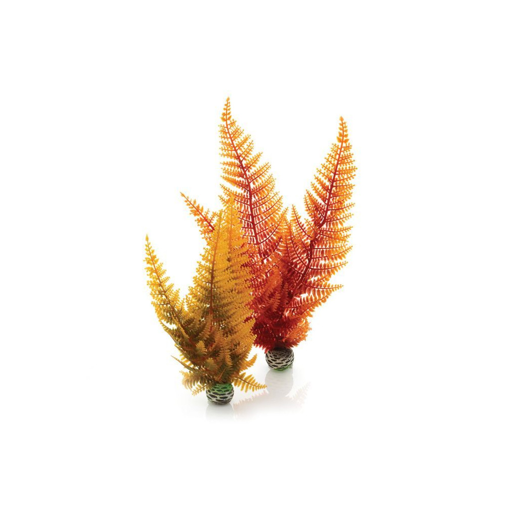 BiOrb Autumn Fern Plant Pack