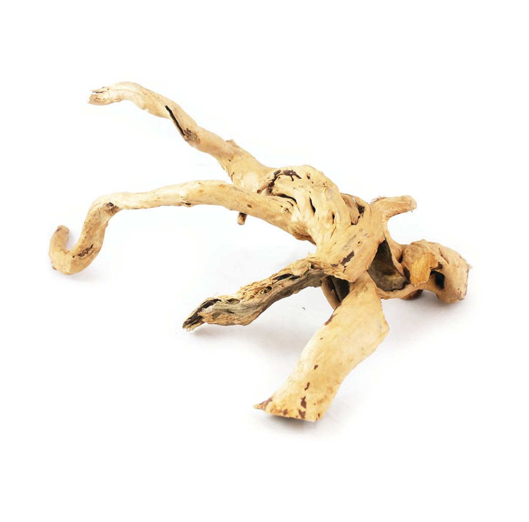 Aquarium wood - Azalea Root 20-30cm