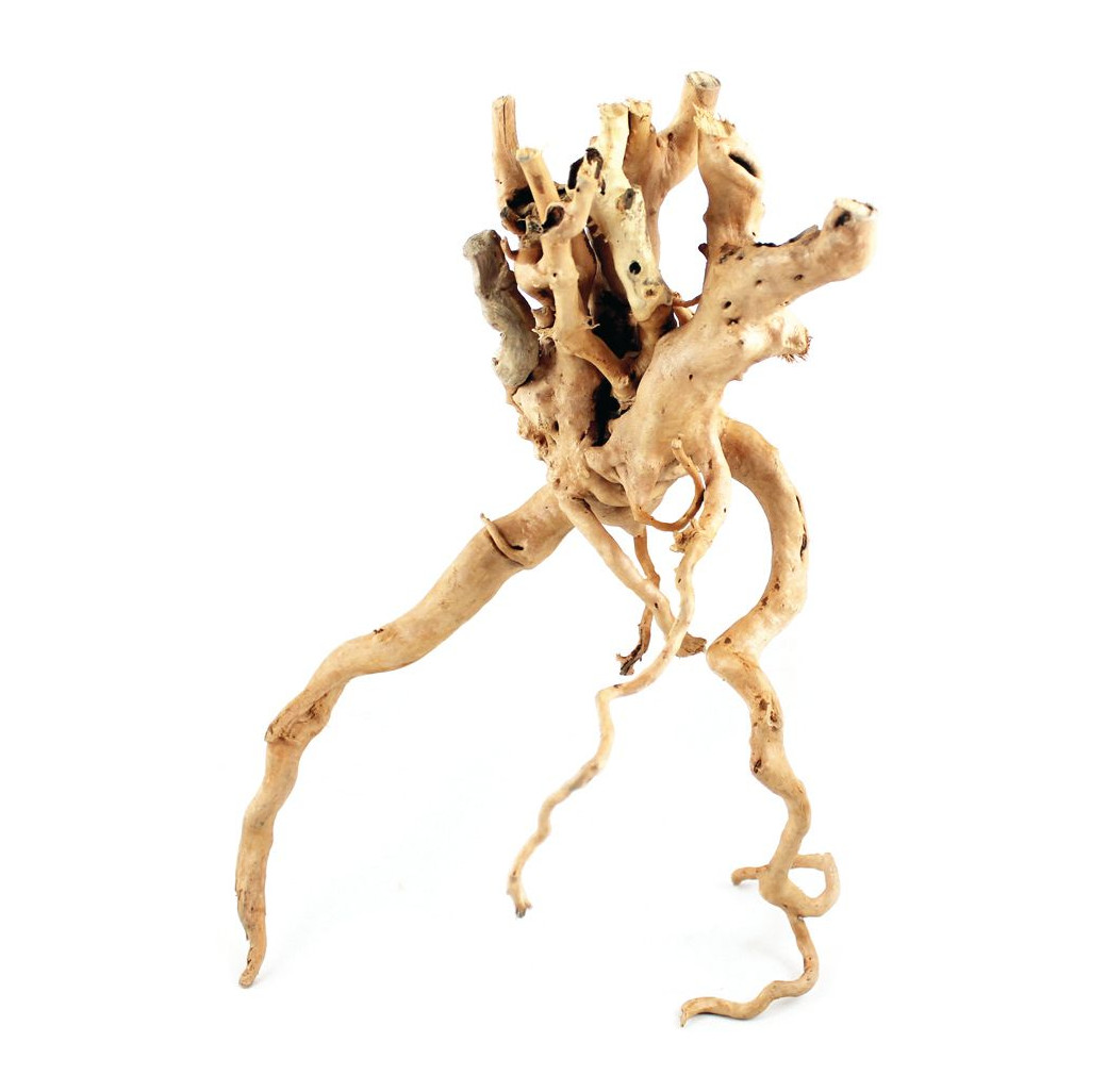 Aquarium wood - Azalea Root 30-40cm