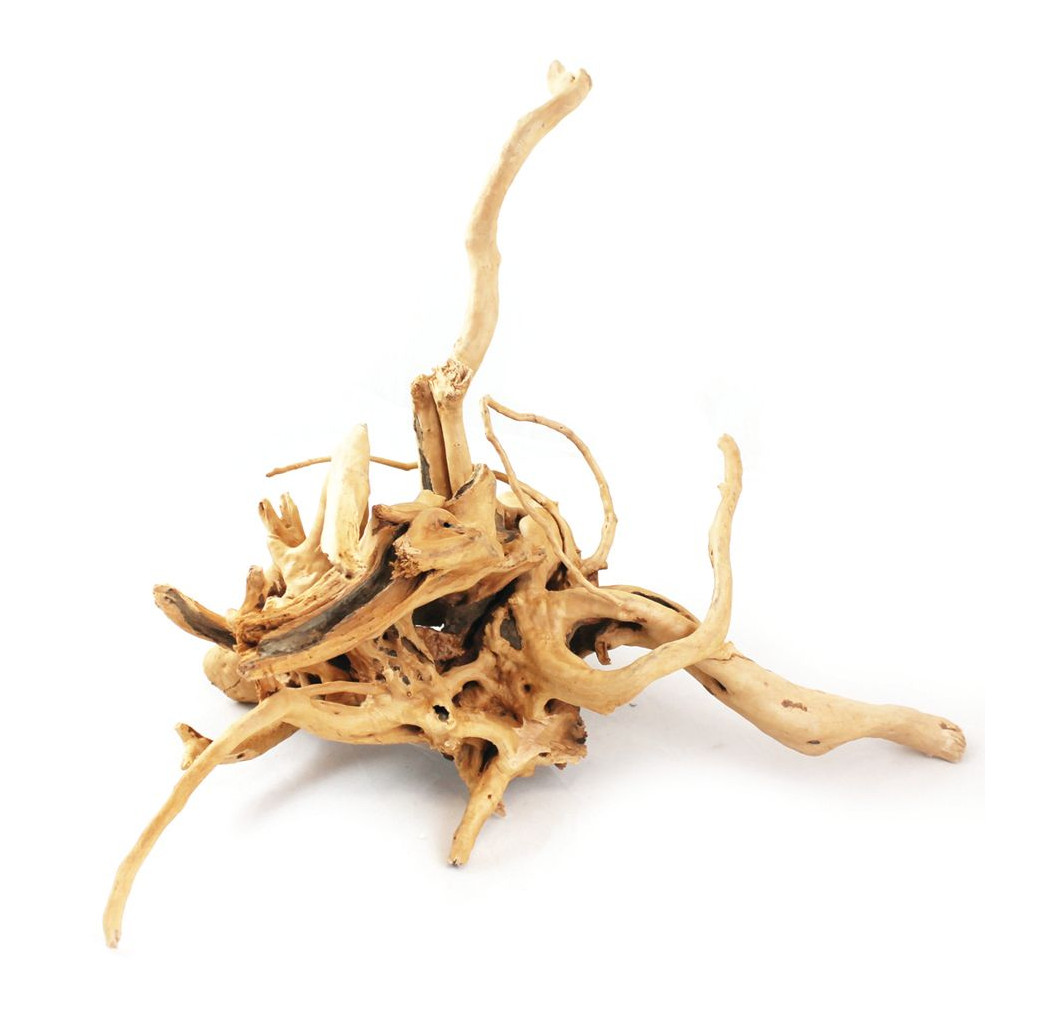 Aquarium wood - Azalea Root 40-50cm