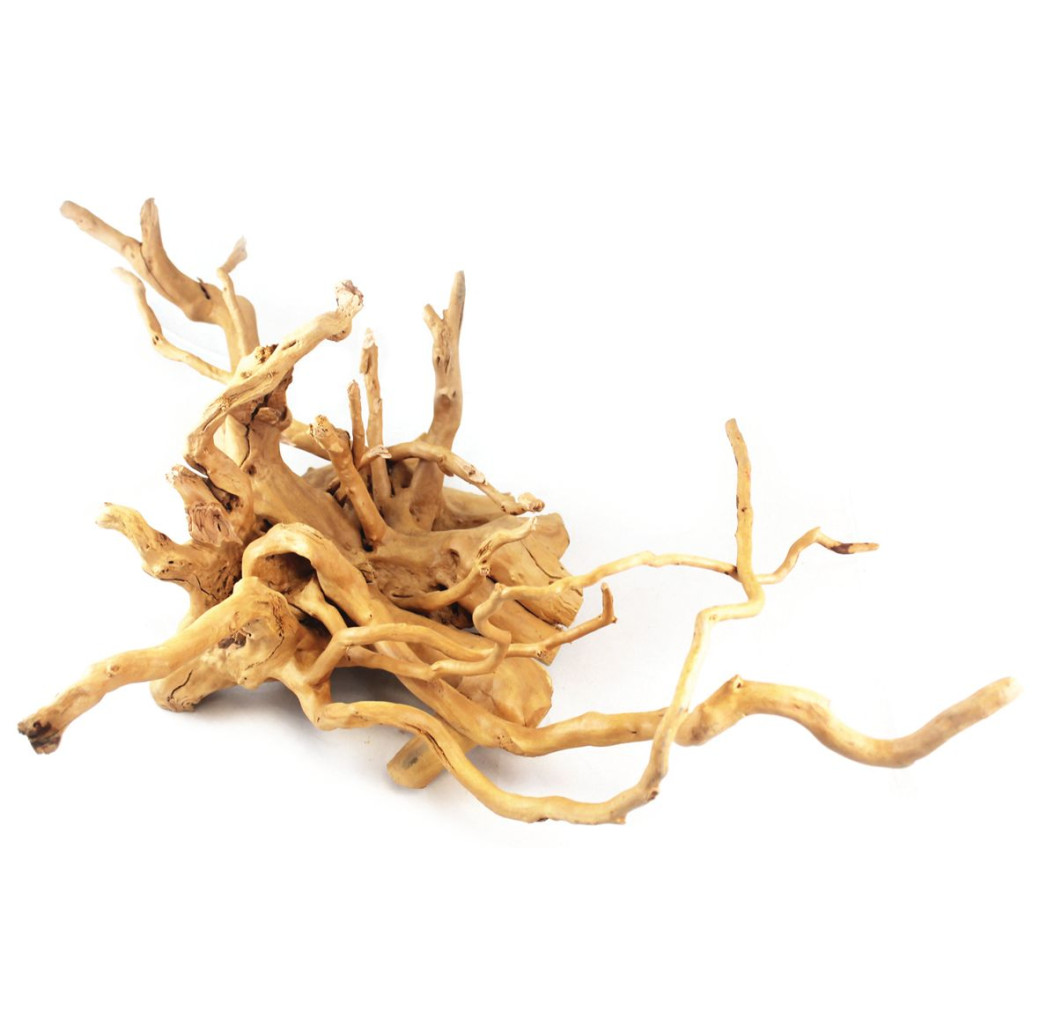 Aquarium wood - Azalea Root 60-75cm