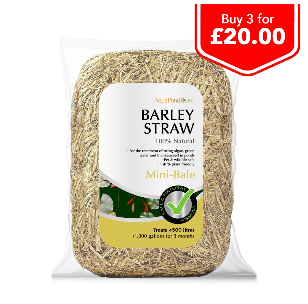 AquaPond Care Barley Straw Bale