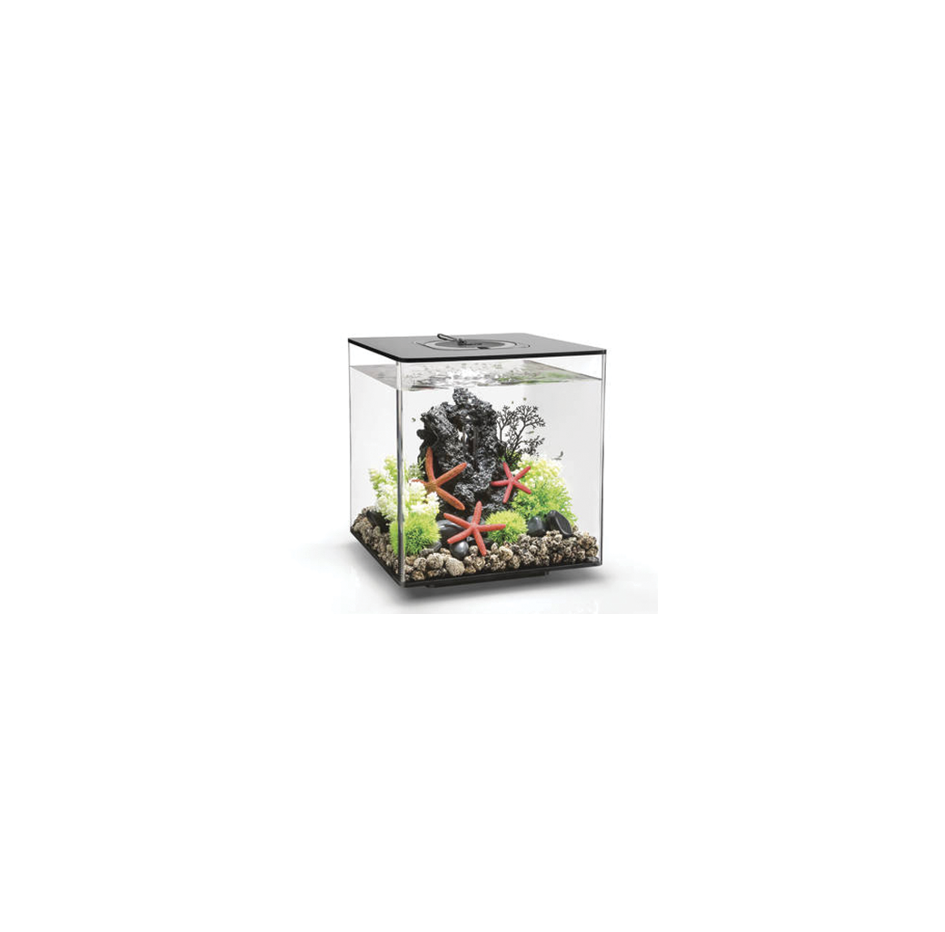 BiOrb Cube 30 MCR Aquarium - Black