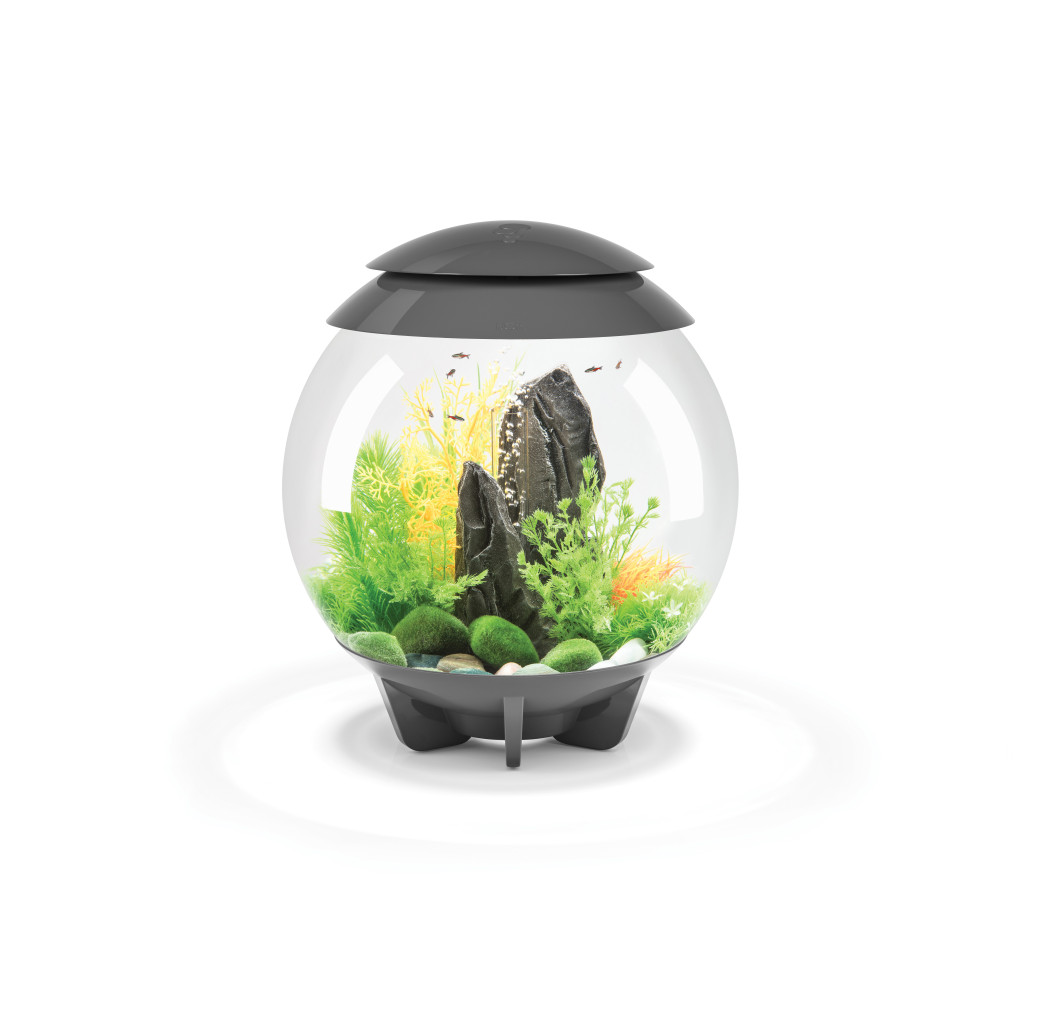 BiOrb Halo 30 MCR Aquarium - Grey