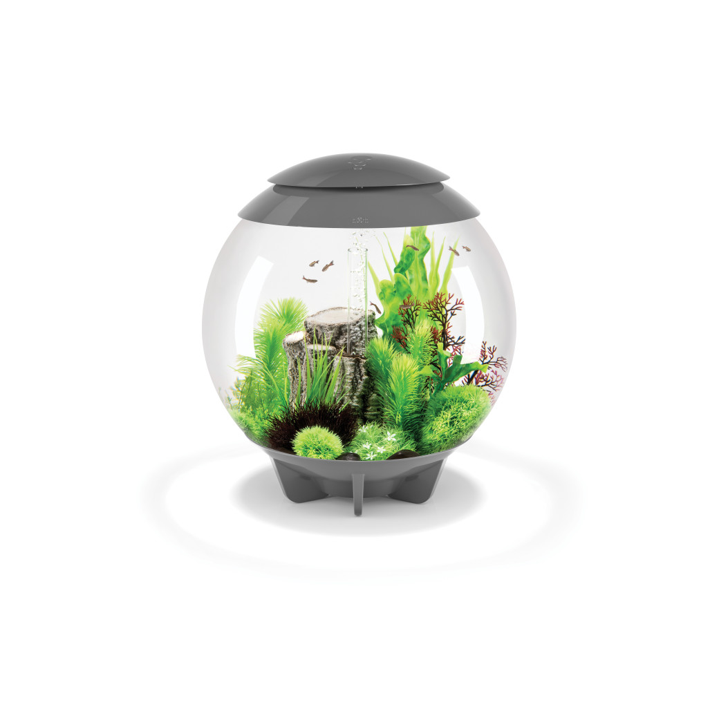 BiOrb Halo 60 MCR Aquarium - Grey