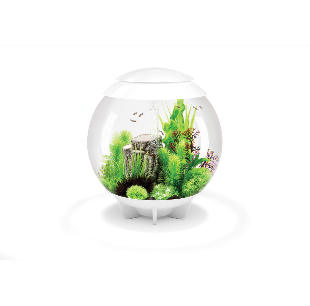 BiOrb Halo 60 MCR Aquarium - White