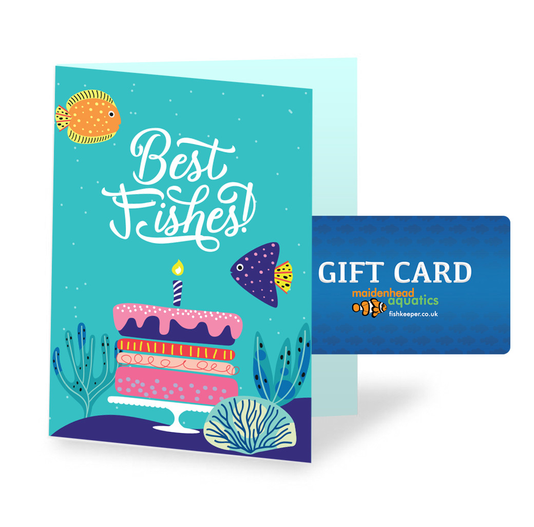 Gift Card with Birthday Themed Card