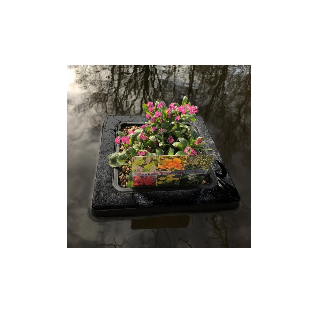 Pond Plant Basket - Floating