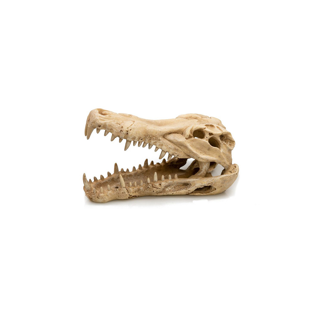 Gigan Ornament - Crocodile Skull