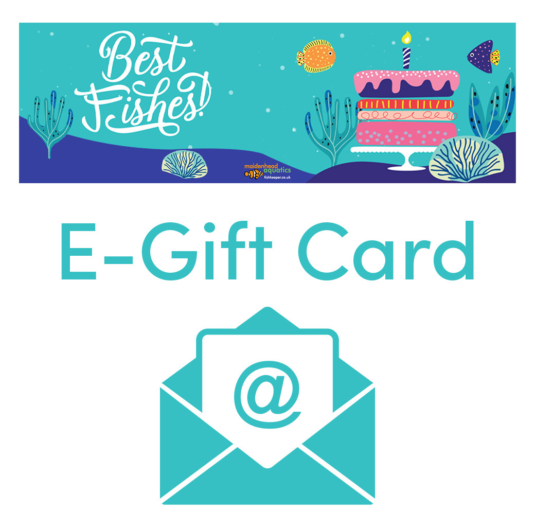 Birthday - Email Gift Voucher