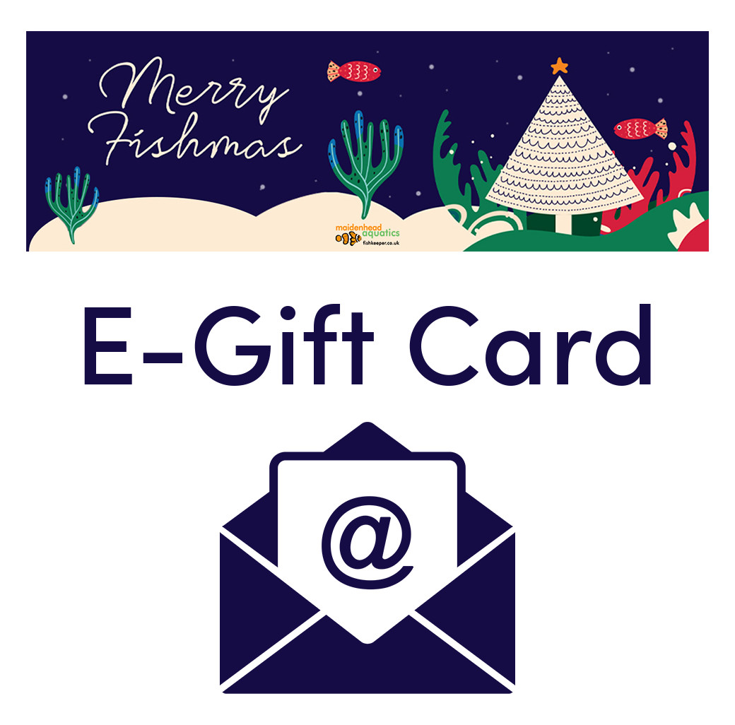 Christmas - Email Gift Voucher