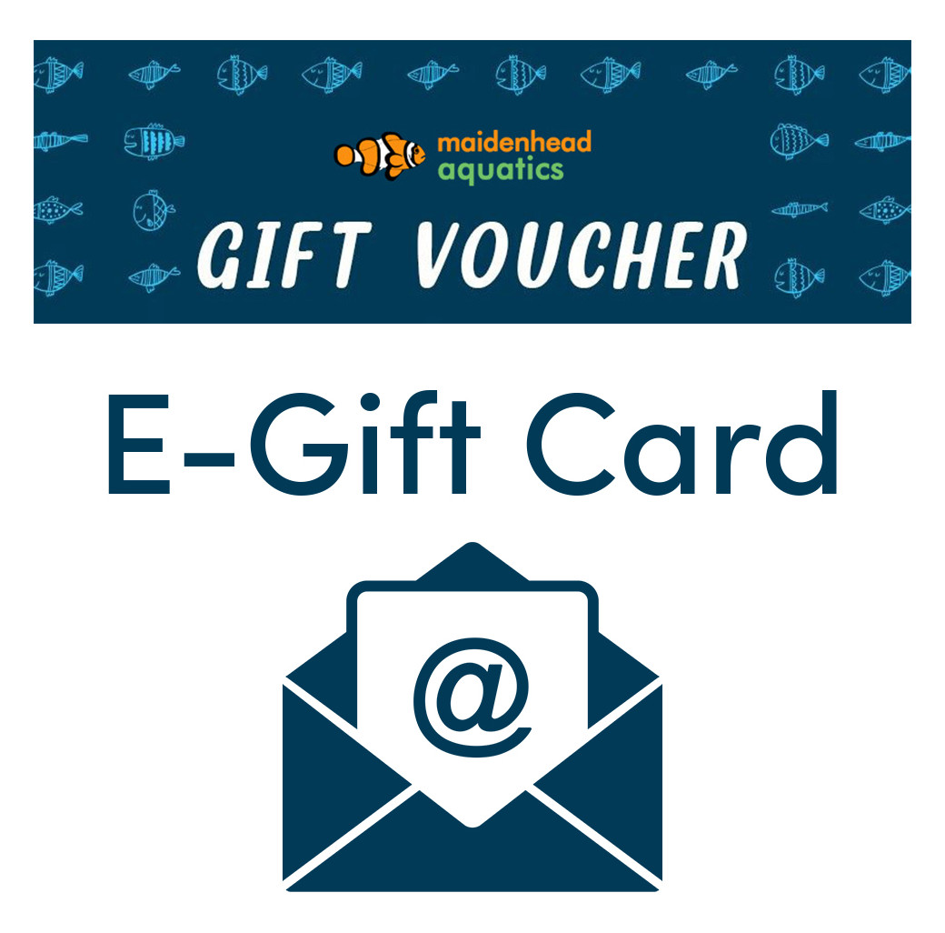 Simple - Email Gift Voucher