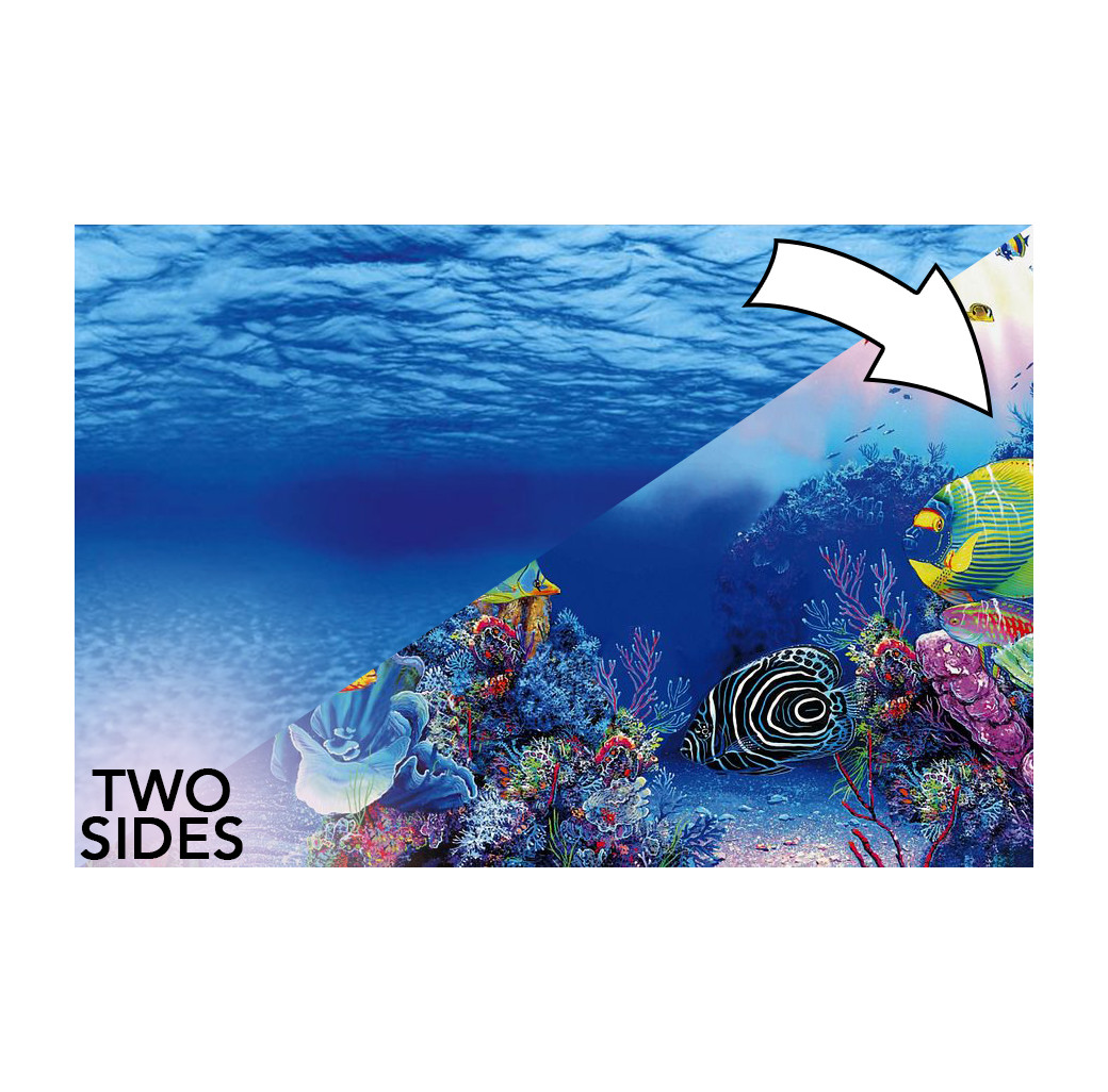 Superfish 2 Sided Aquarium Background F - Underwater & Marine