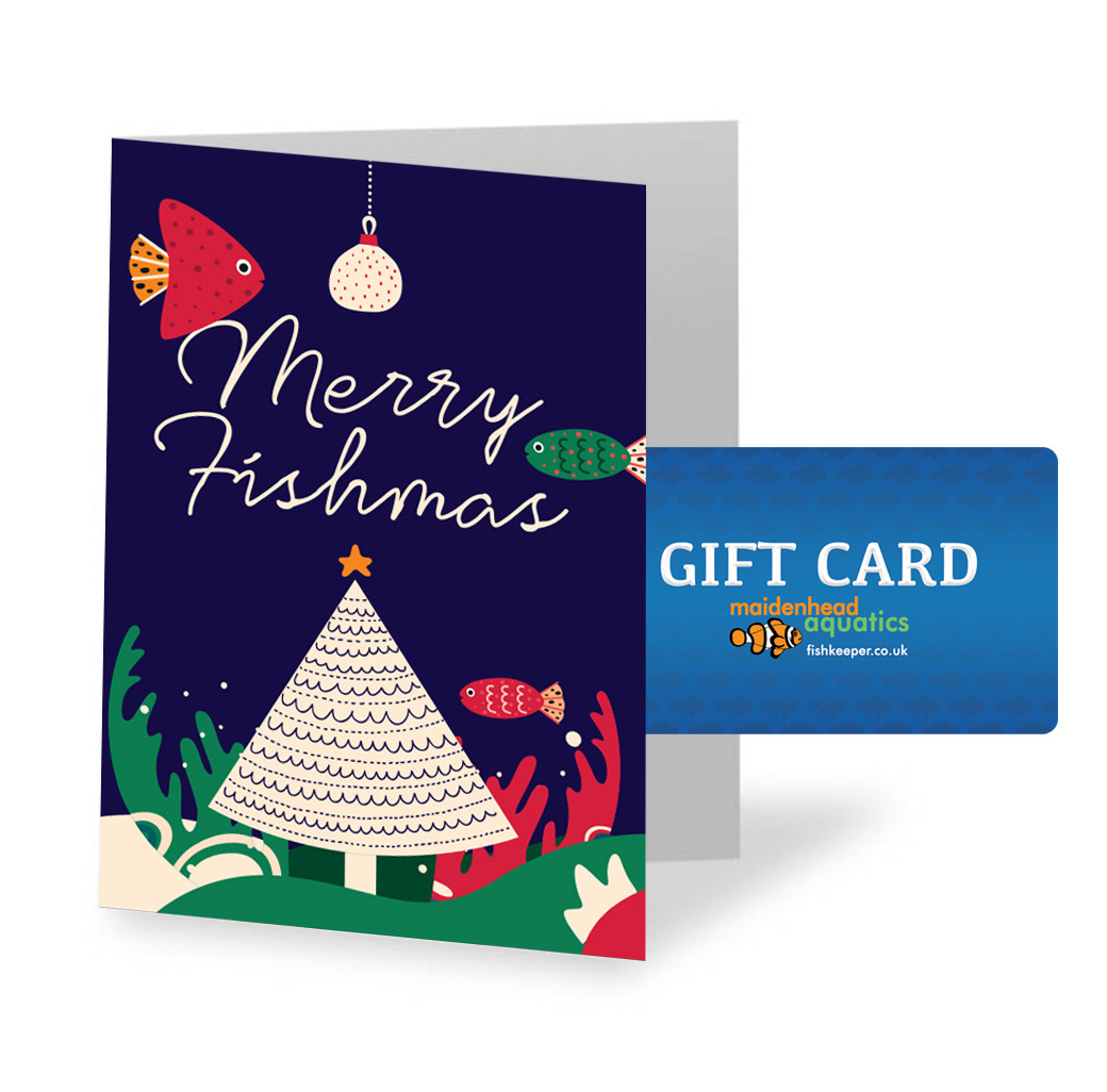 Gift Card with Christmas Themed Card