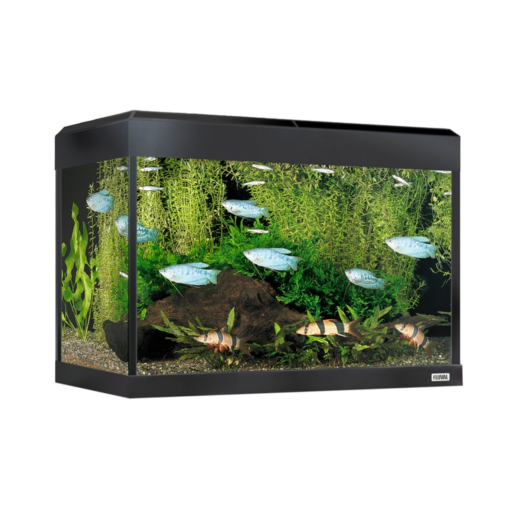 Fluval Roma 90 Bluetooth LED Aquarium