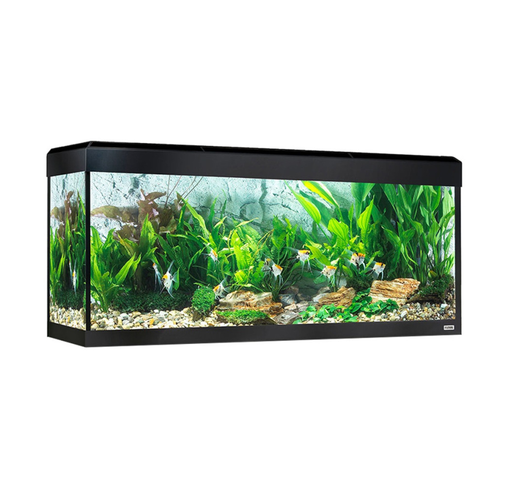 Fluval Roma 240 Bluetooth LED Aquarium