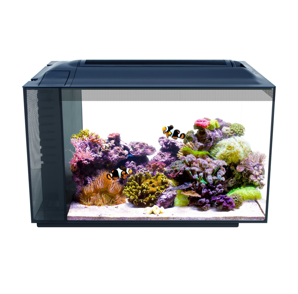 Fluval SEA Evo 52 Litre Marine Aquarium