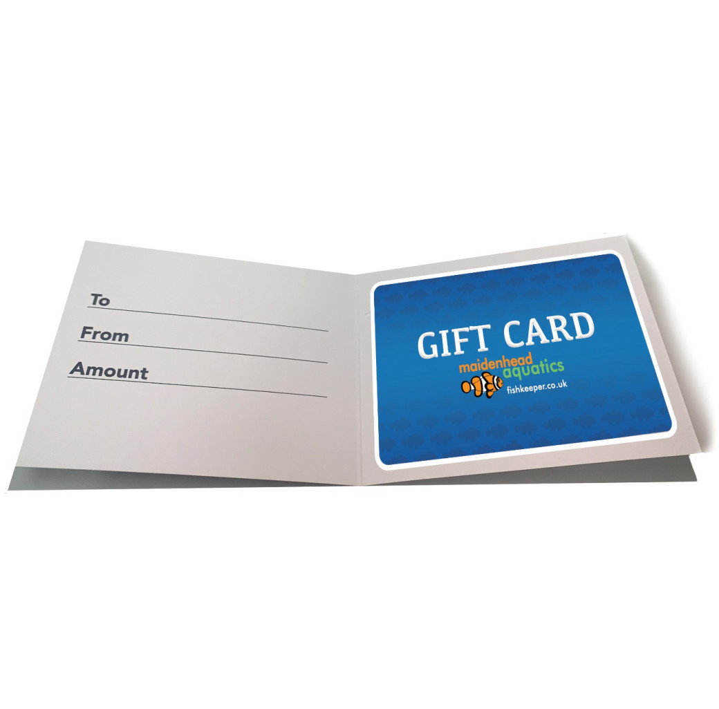 Gift Card Simple Voucher Sleeve