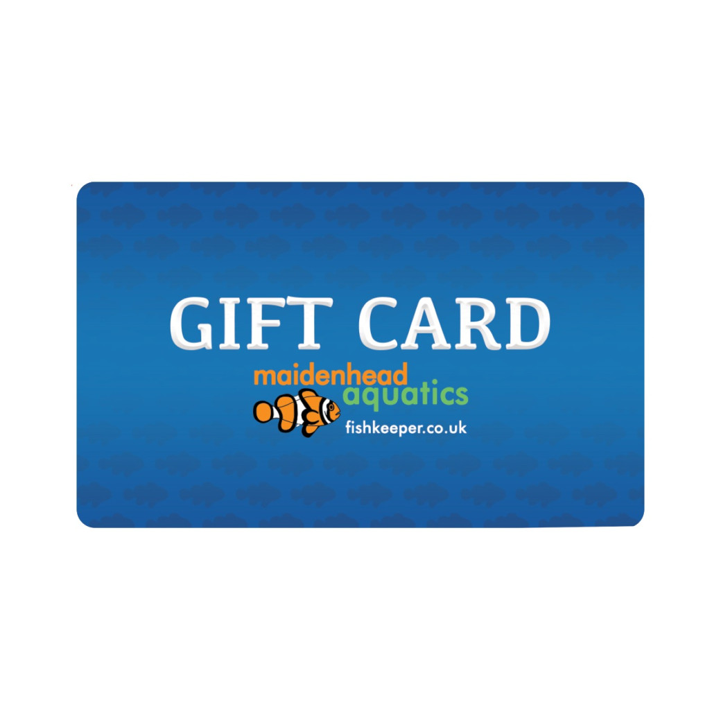 Gift Card with Birthday Themed Card