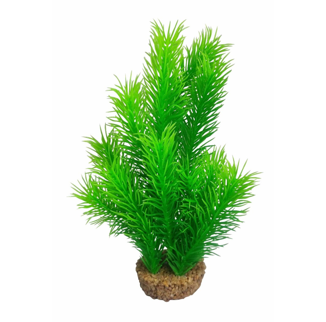 AquaManta Gravel Base Artificial Plant - Green Bottle Fern