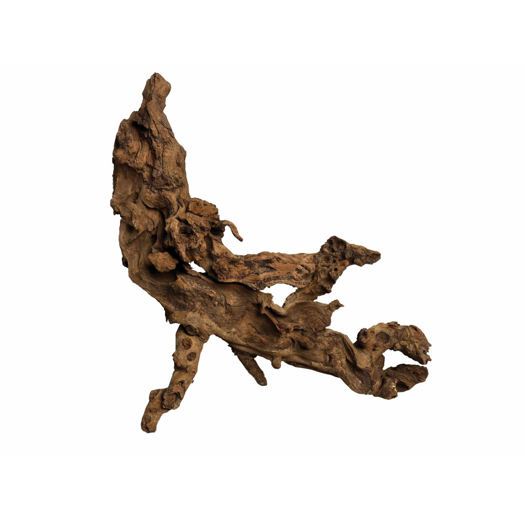 Aquarium wood - Mopani wood 40 - 50cm