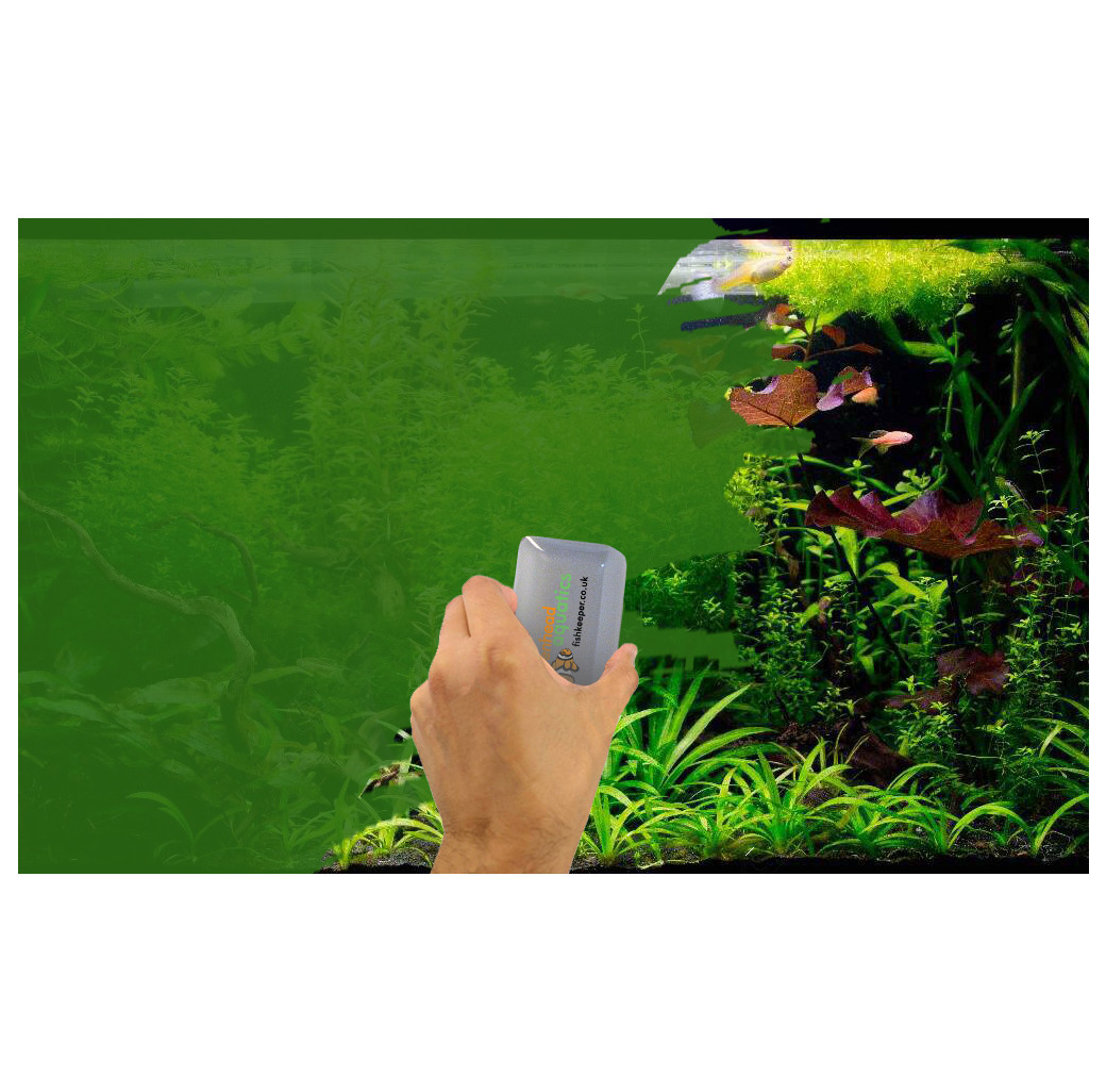 Aqua Magnet Floating Glass Aquarium Cleaner