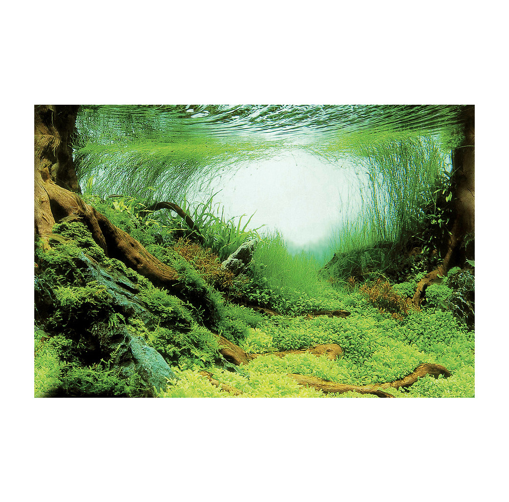 Superfish 2 Sided Aquarium Background C - Planted Aquascapes