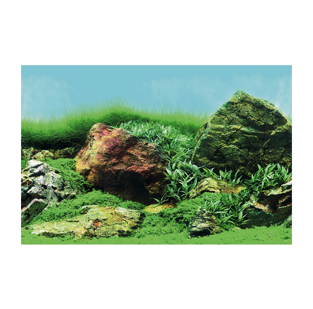 Superfish 2 Sided Aquarium Background C - Planted Aquascapes