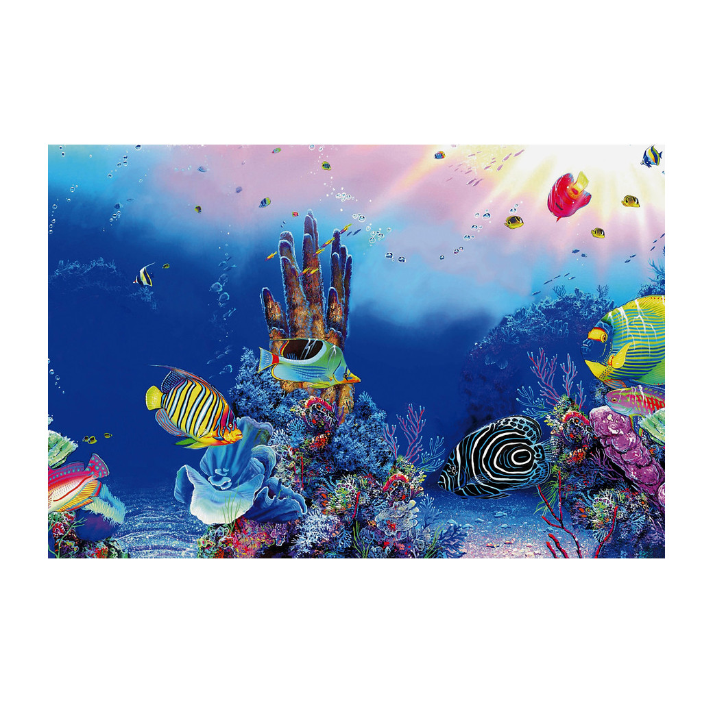 Superfish 2 Sided Aquarium Background F - Underwater & Marine