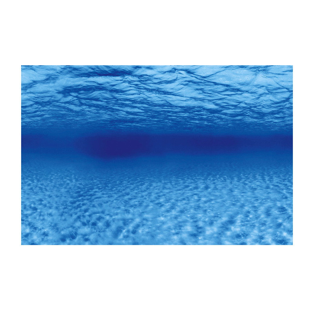 Superfish 2 Sided Aquarium Background F - Underwater & Marine