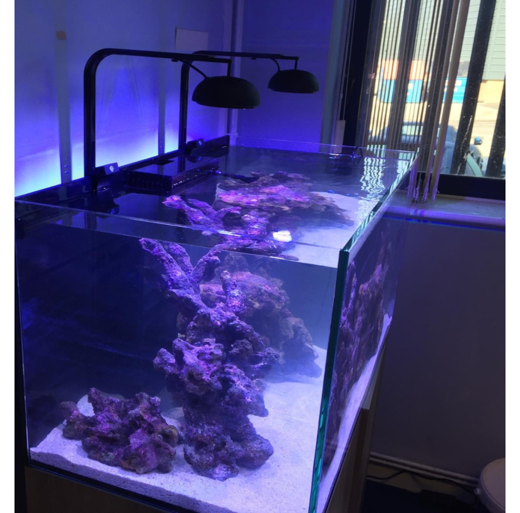 TMC Reef Photon LED Lighting Pods (2 x 84 W) 